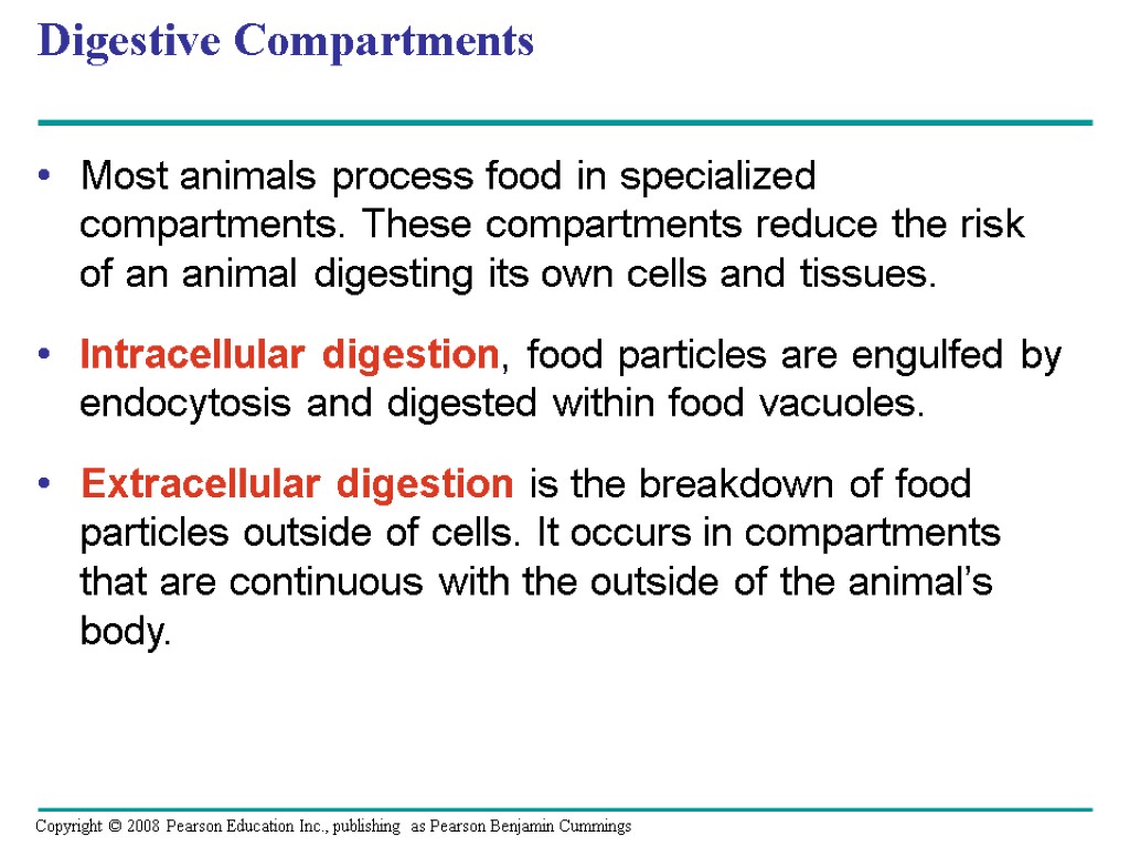Digestive Compartments Most animals process food in specialized compartments. These compartments reduce the risk